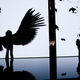 Illustration for article titled This Art Transforms You Into a Bird-Like Creature